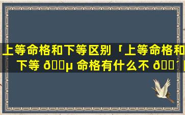 上等命格和下等区别「上等命格和下等 🐵 命格有什么不 🐴 同」